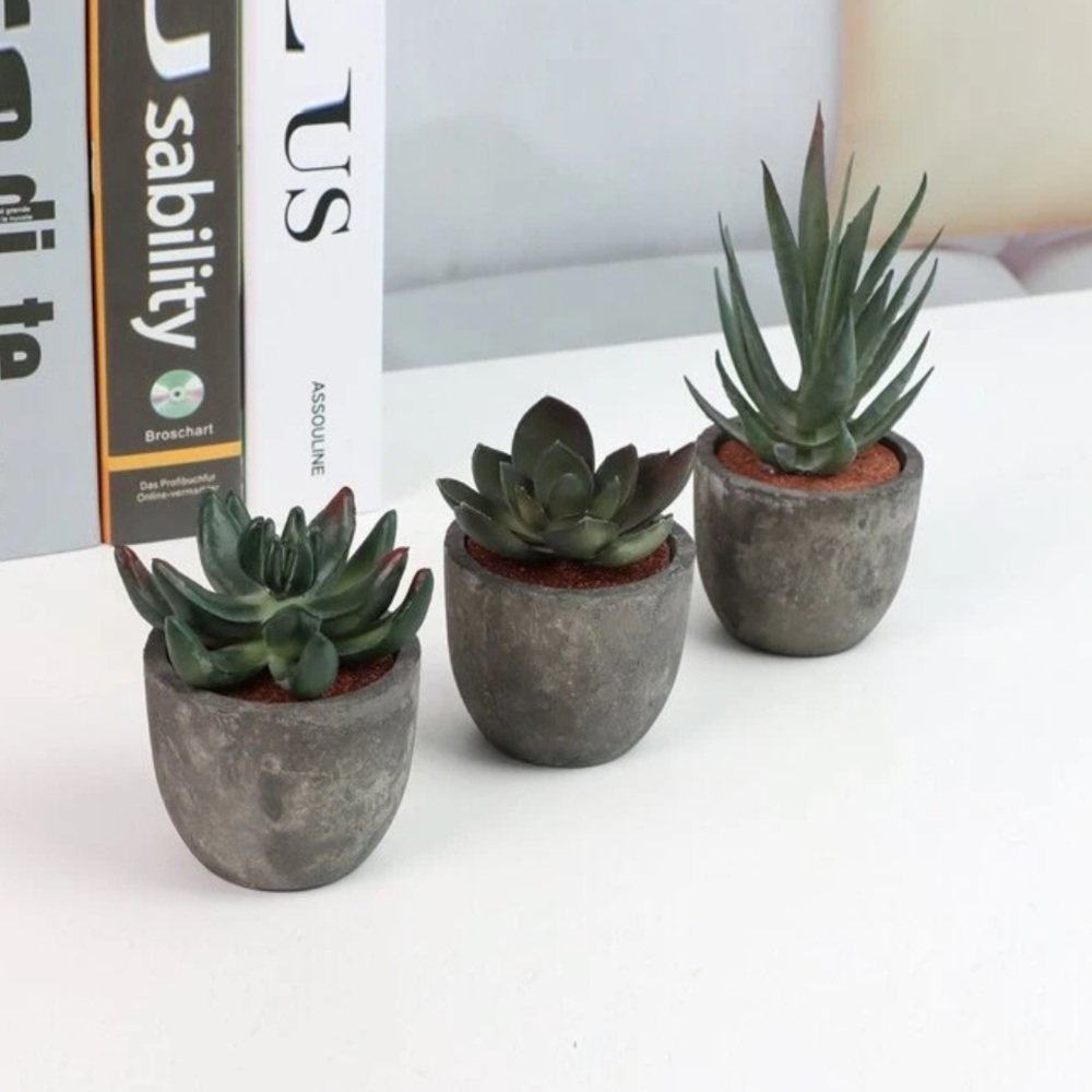 SET OF 6 faux succulent plants